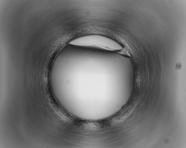 X0000098050402200804181329