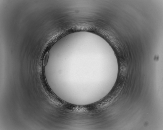 X0000098050403200804181329