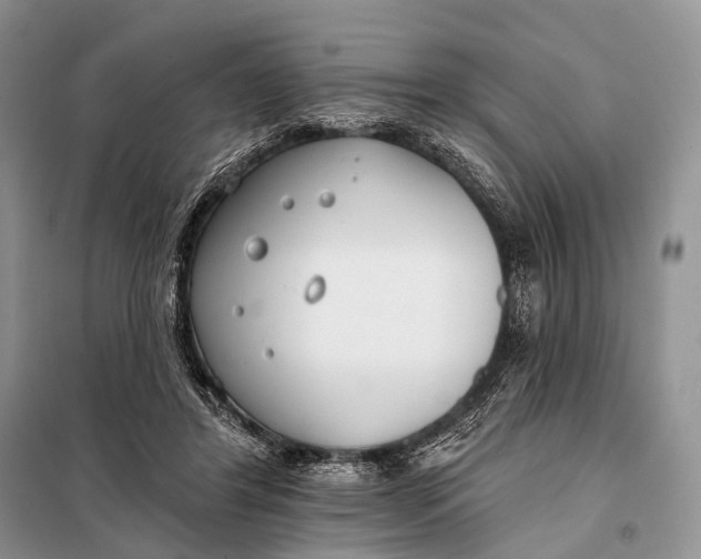 X0000098050404200804181329