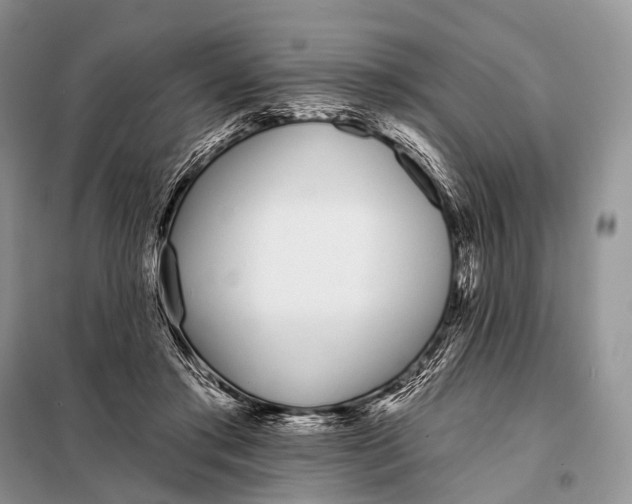 X0000098050405200804181329