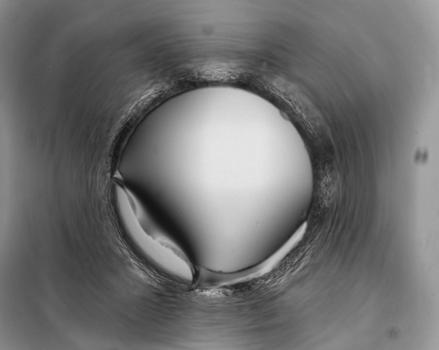 X0000098050407200804181329