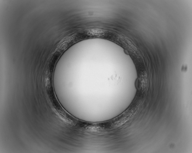 X0000098050408200804181329