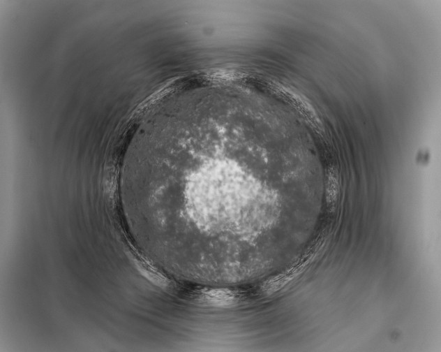 X0000098050409200804181329