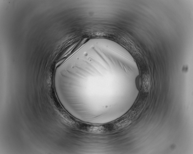 X0000098050410200804181329