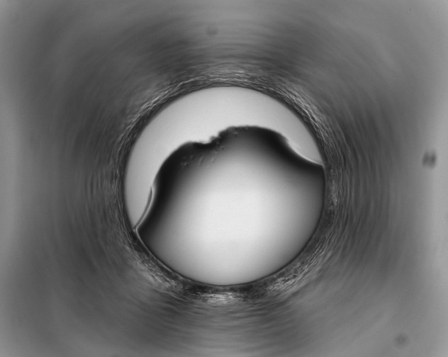 X0000098050411200804181329