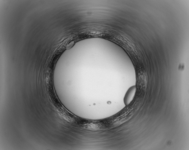 X0000098050412200804181329