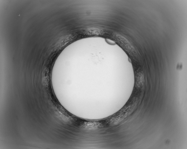 X0000098050414200804181329