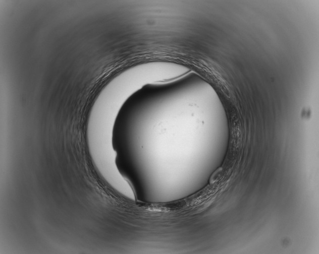 X0000098050415200804181329