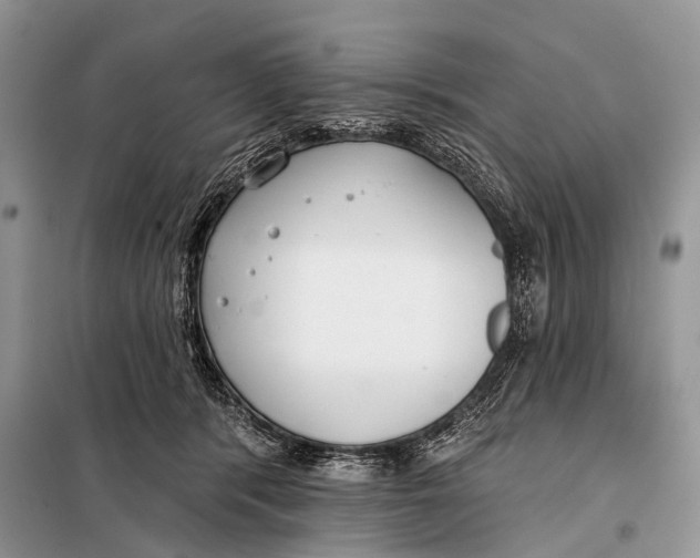 X0000098050416200804181329