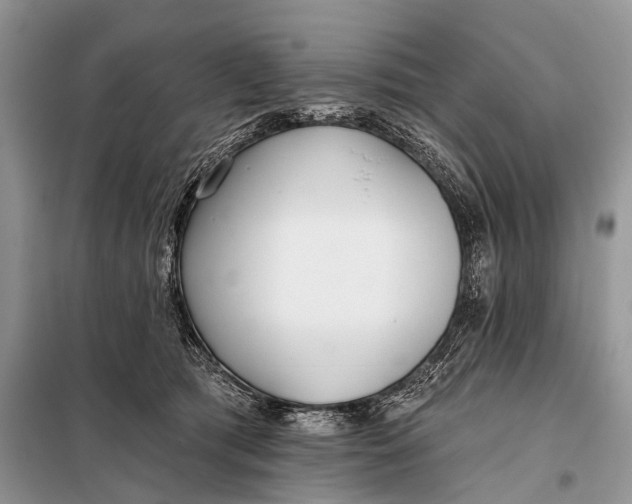 X0000098050417200804181329