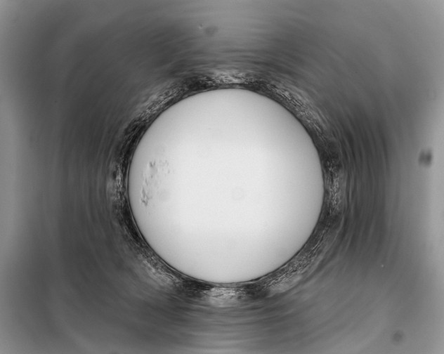 X0000098050418200804181329