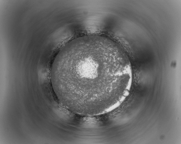 X0000098050419200804181329