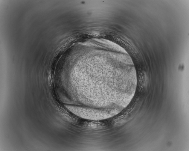 X0000098050420200804181329