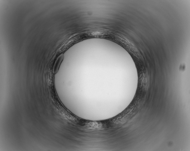 X0000098050421200804181329