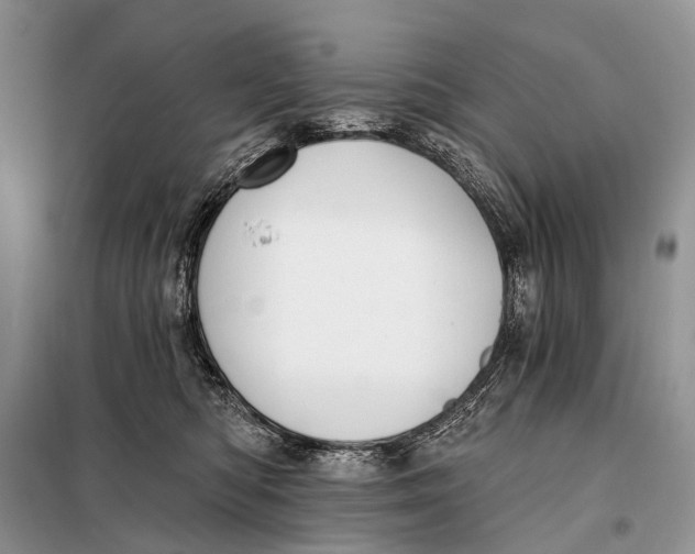 X0000098050422200804181329