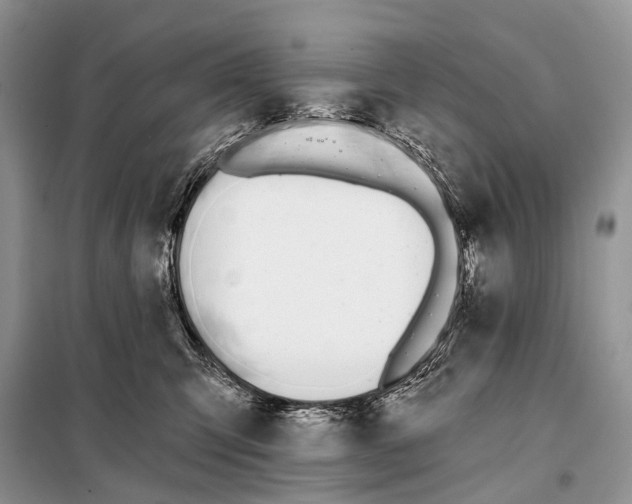 X0000098050423200804181329