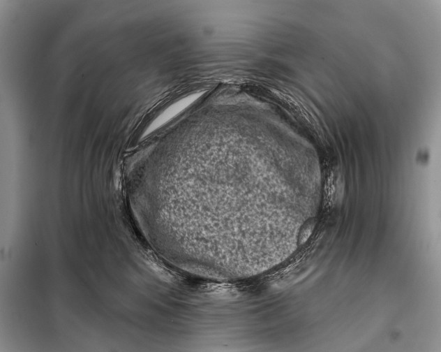 X0000098050424200804181329