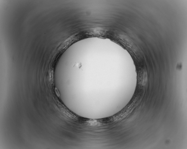 X0000098050425200804181329