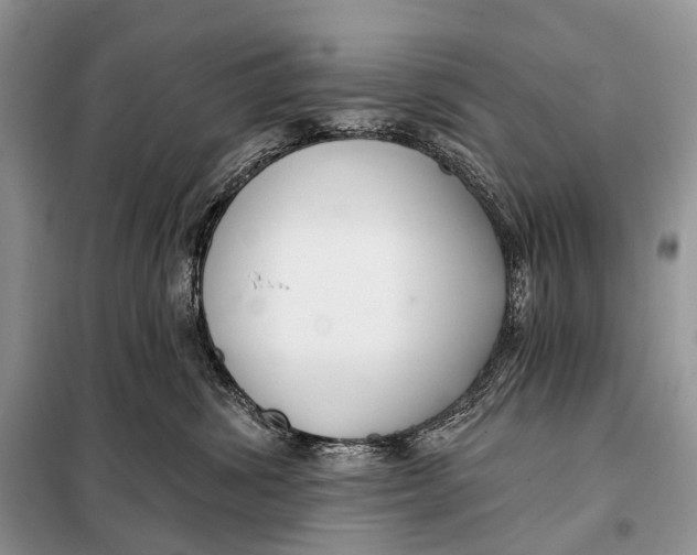 X0000098050428200804181328