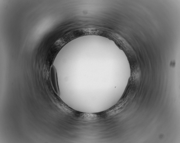 X0000098050429200804181328