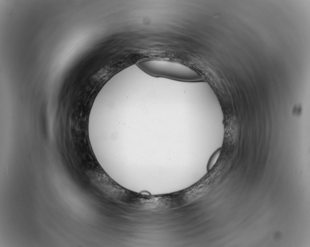 X0000098050430200804181328