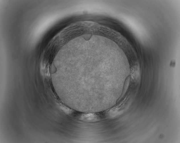 X0000098050431200804181328