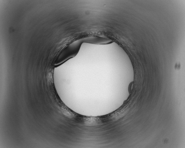 X0000098050432200804181328