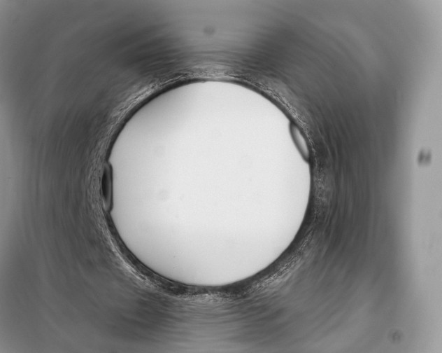 X0000098050433200804181328