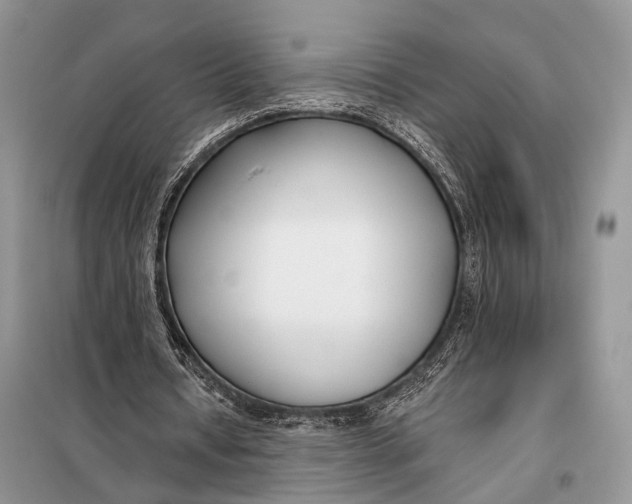 X0000098050434200804181328