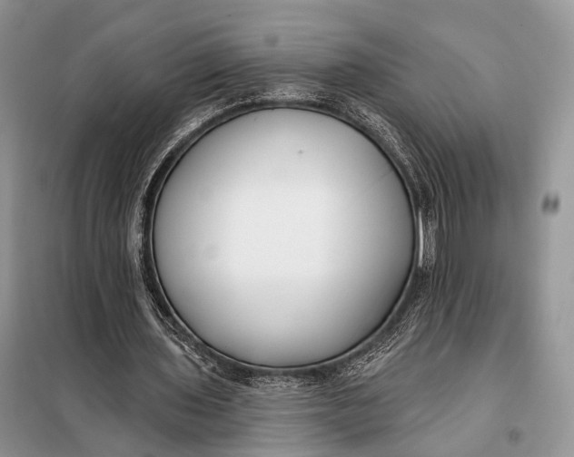 X0000098050435200804181328