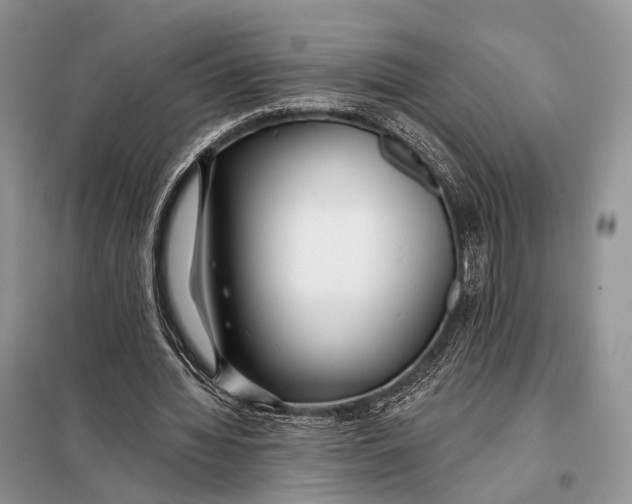 X0000098050436200804181328