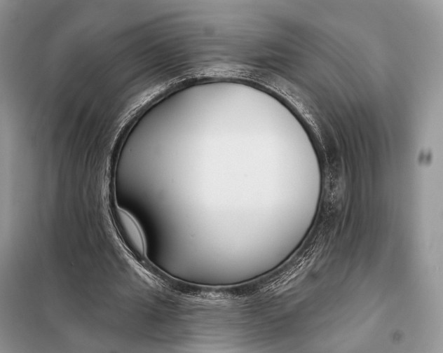 X0000098050437200804181328