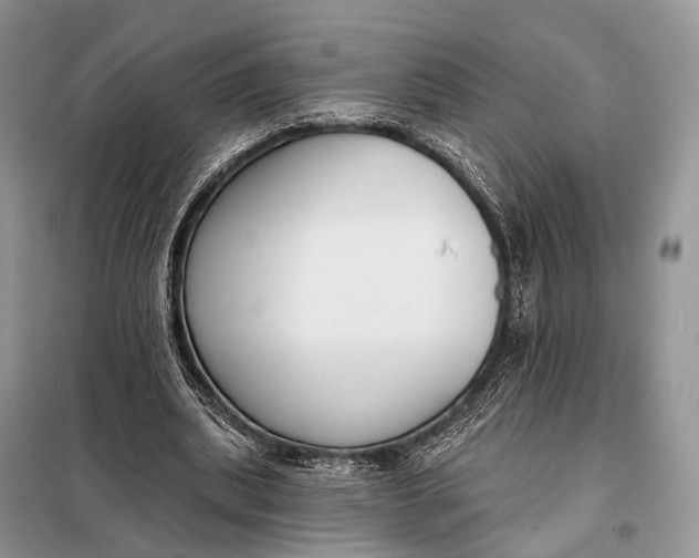 X0000098050439200804181328