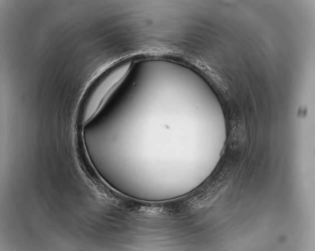 X0000098050440200804181328