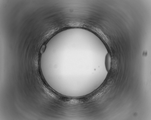 X0000098050441200804181328