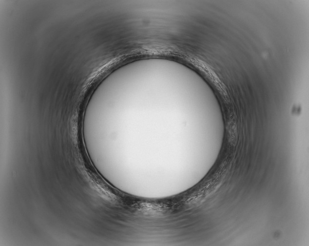 X0000098050442200804181328