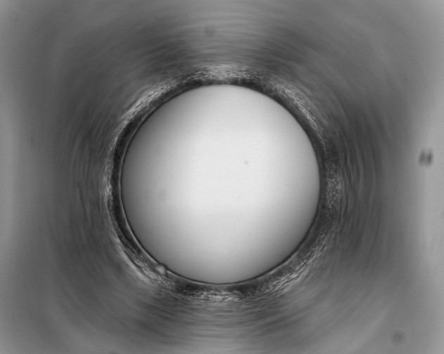 X0000098050443200804181328