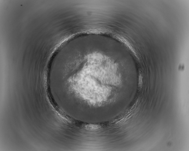 X0000098050444200804181328