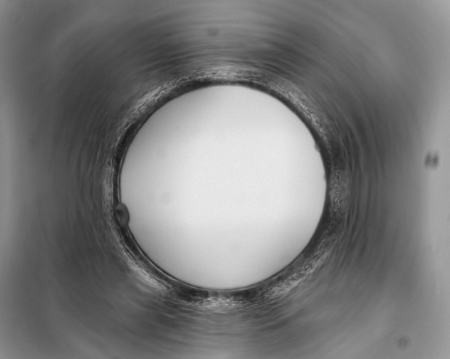 X0000098050445200804181328