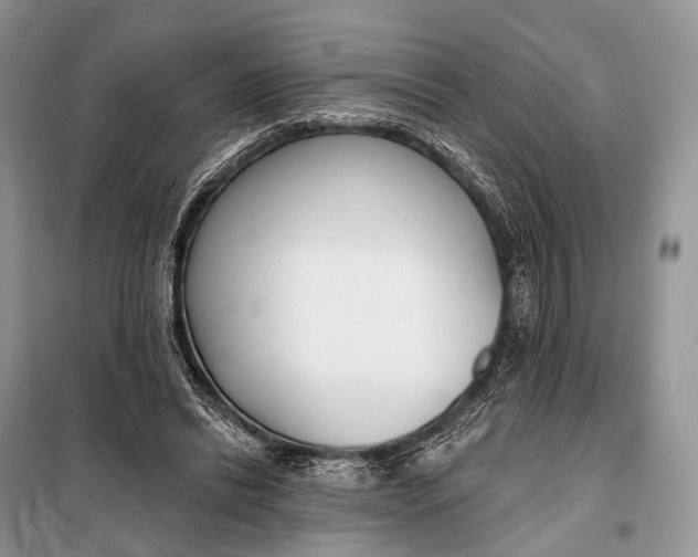 X0000098050446200804181328