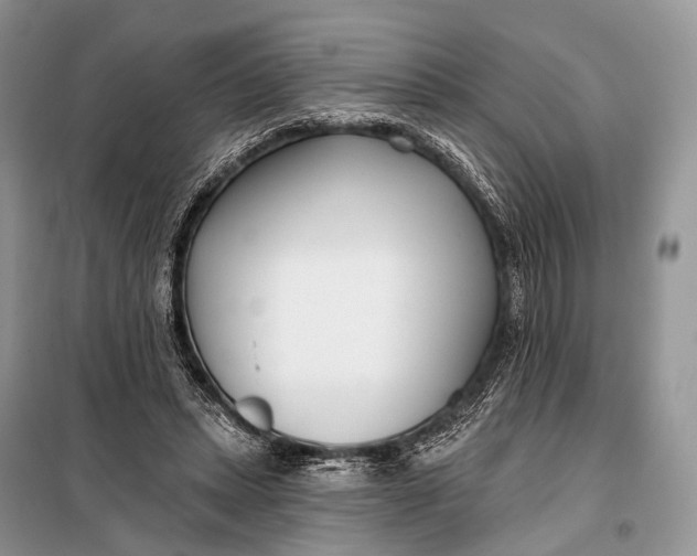 X0000098050447200804181328