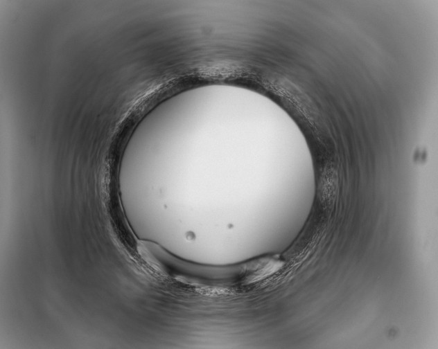 X0000098050448200804181328