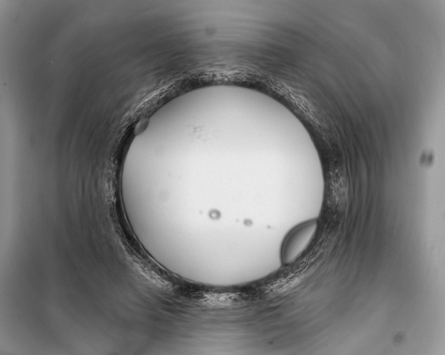 X0000098050450200804181328