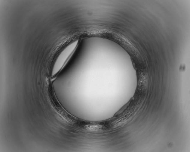 X0000098050452200804181328