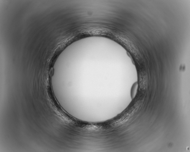 X0000098050453200804181328