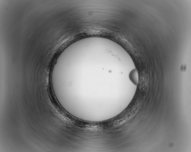 X0000098050454200804181328