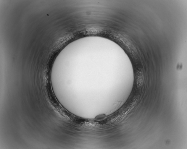 X0000098050455200804181328