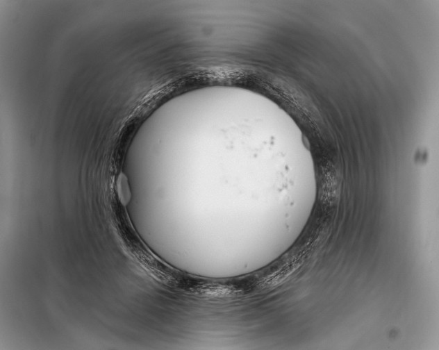 X0000098050456200804181328