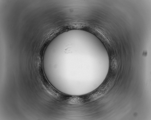 X0000098050459200804181328