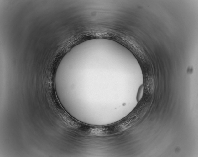 X0000098050461200804181328